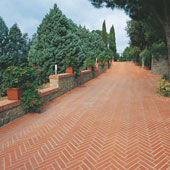 Collezione Sestini