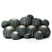 Divano Canapé Cactus