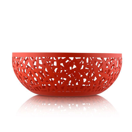 Bowl Cactus!