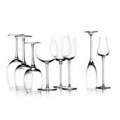 Collezione Cantina