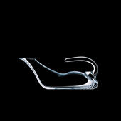 Decanter Duck