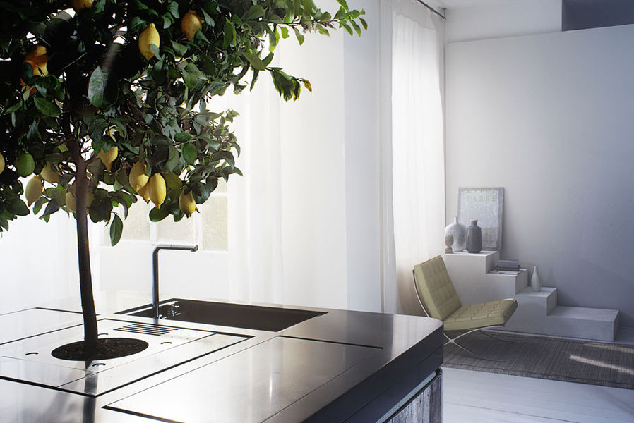 Cucina Oasi