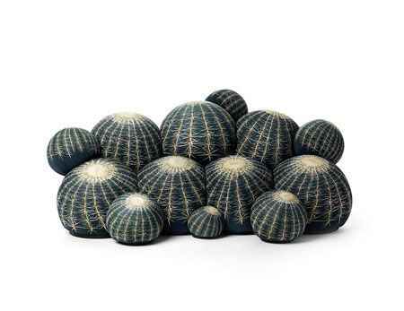 Canapé Canapé Cactus