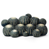 Sofa Canapé Cactus