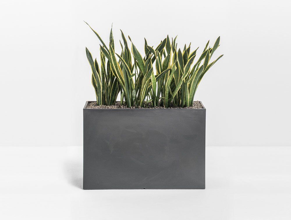 Vaso Kado pot