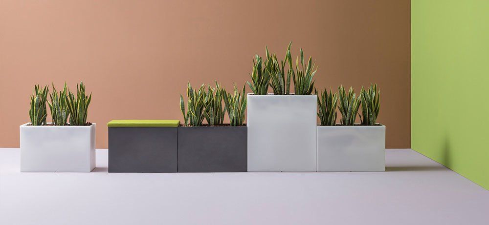 Vaso Kado pot