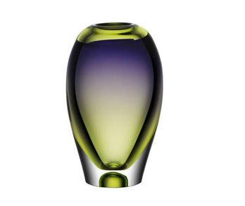 Vaso Vision