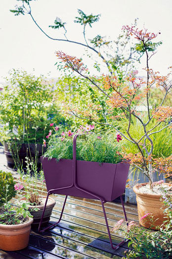 Jardinière Basket