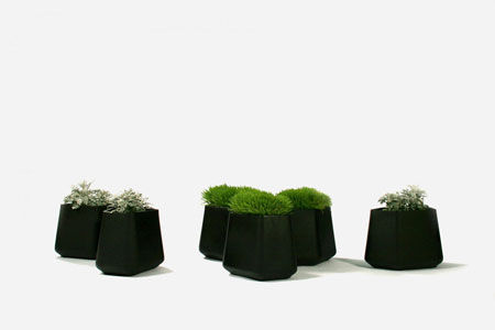 Vase Rock Garden