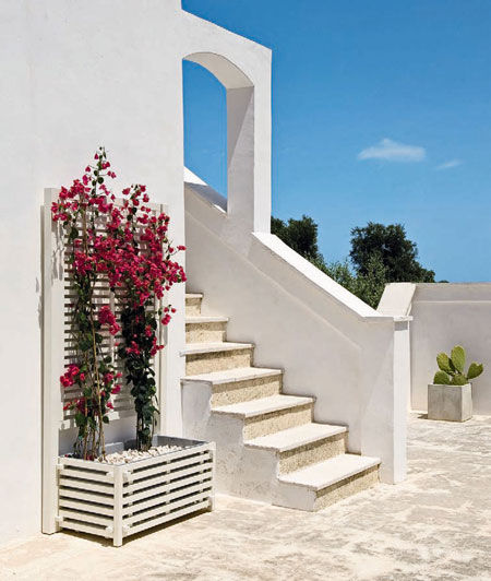 Flower Box Oasi