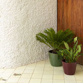 Vase [a]