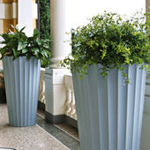 Vase Eufronio