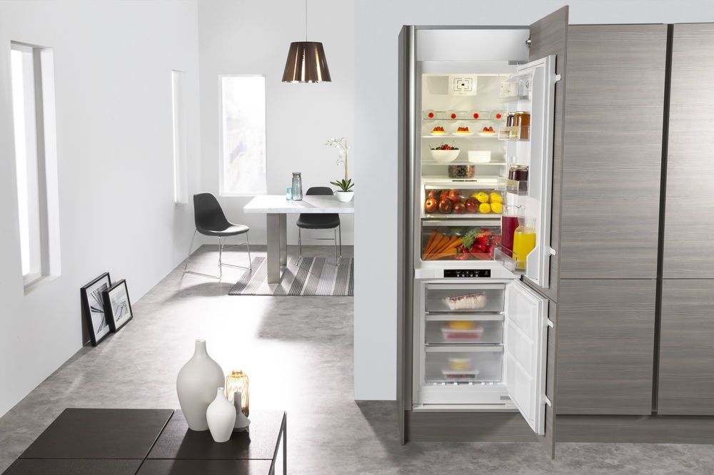 Frigocongelatore ART 880/A+/NF