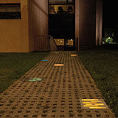Spot Plica