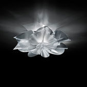 Plafonnier Etoile