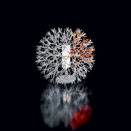 Lamp Coral