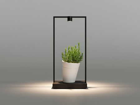 Lampada Curiosity