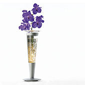Lampe Spring