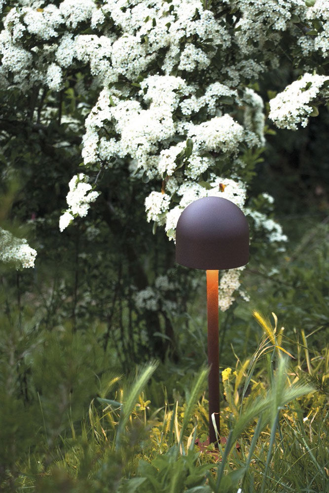 Lampada Boleto