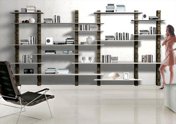 Libreria Shark
