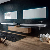 Ensemble Shape Evo