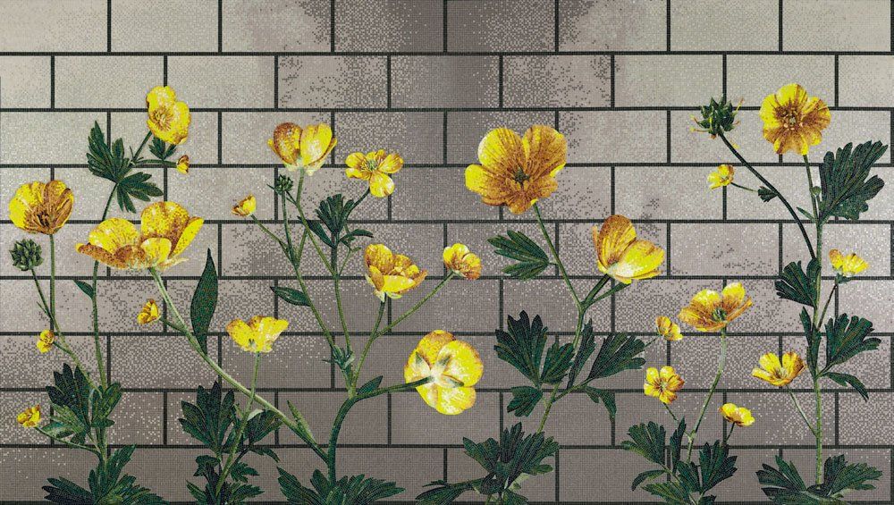 Mosaico Ranunculus