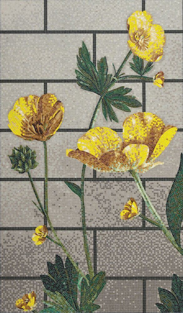 Mosaico Ranunculus