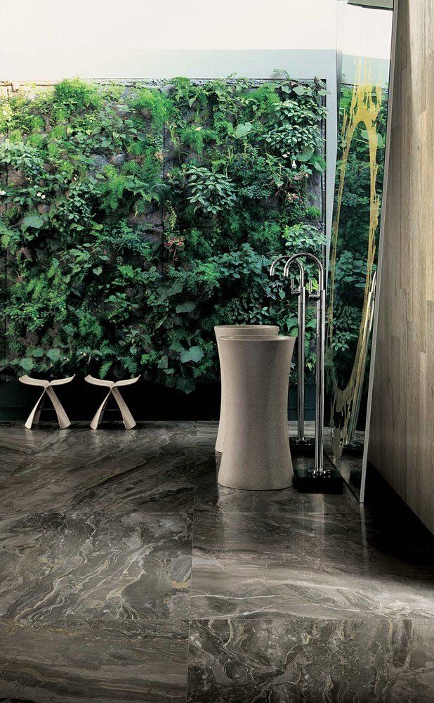 Collezione Prexious of Rex