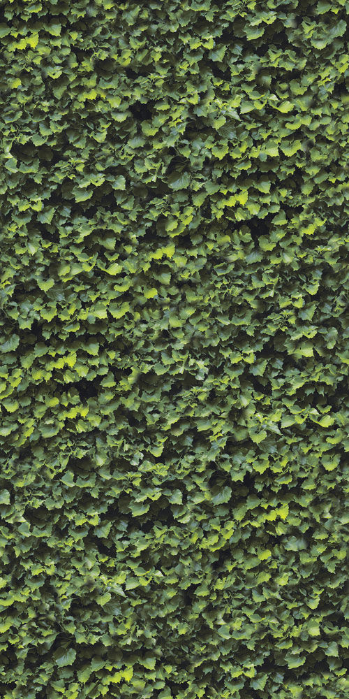 Collezione Green Tech