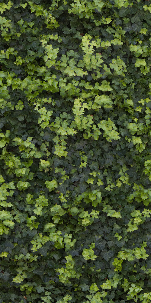Collezione Green Tech