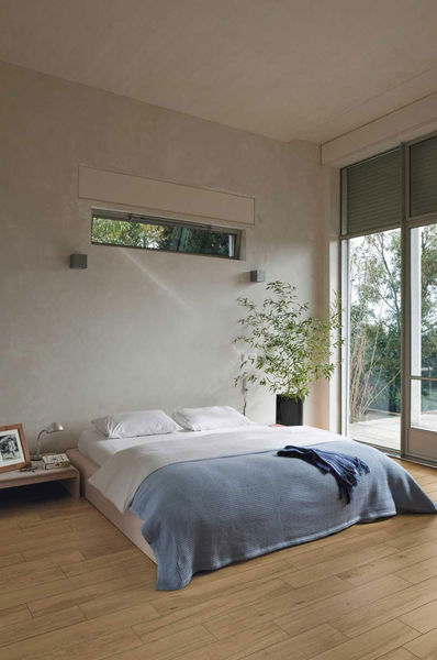 Collezione Treverklook