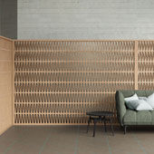 Collezione Celosia