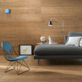 Kollektion Bark