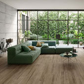 Collection Timewood