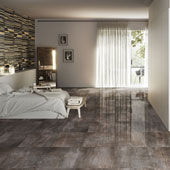 Collezione Fossil