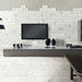 Collezione Canalgrande