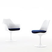 Armchair Tulip