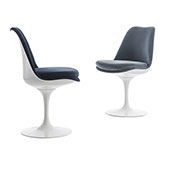 Armchair Tulip