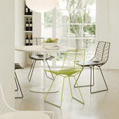 Sedia Leaf