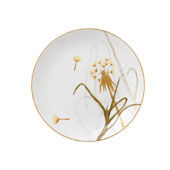 Servizio Dandelion