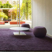 Rug Air