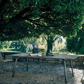 Table Grasshopper