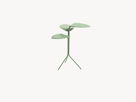 Small Table Morning Glory