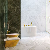 Wc e bidet Gold&Silver