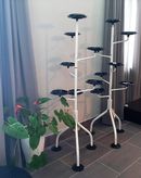 ALBERO photo 0