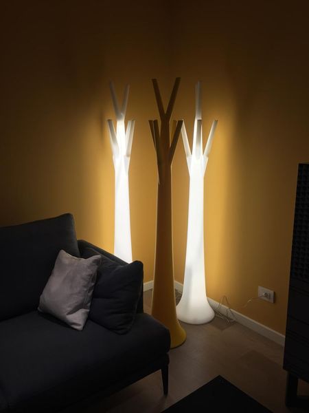 ATTACCAPANNI TREE photo 0
