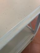 ETAGER PANTERA LUCCHESE photo 3