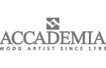 Accademia logo