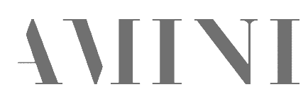 Amini