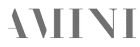 logo Amini